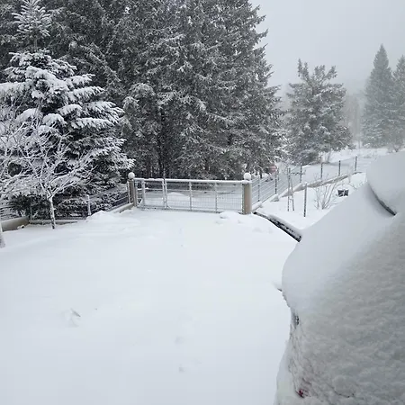 Biba I Rudi Appartamento *